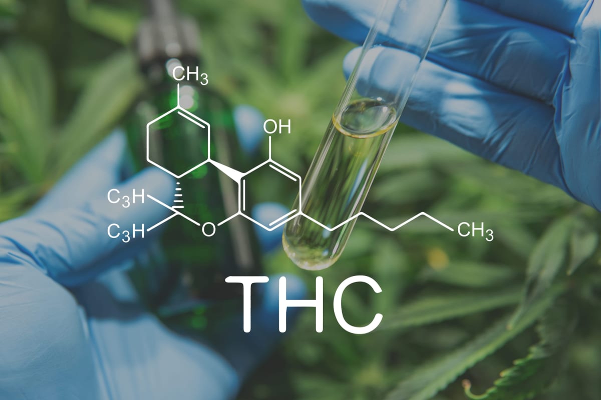 3 Irresistible THC-O Facts