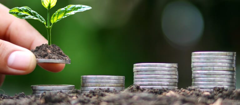 Revenue vs. Profit: How to Build a Sustainable Business