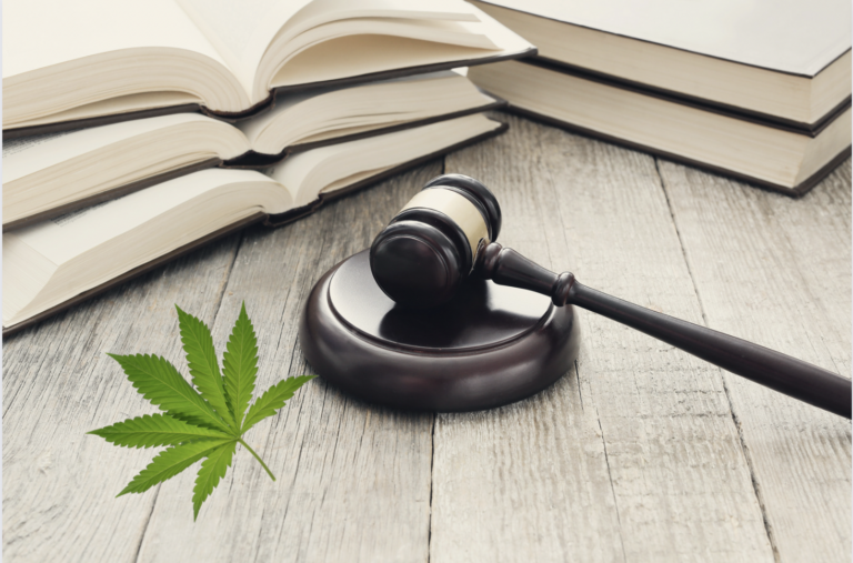 Cannabis legalization blog image