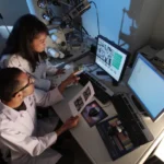 Researchers studying the most potent cannabinoid