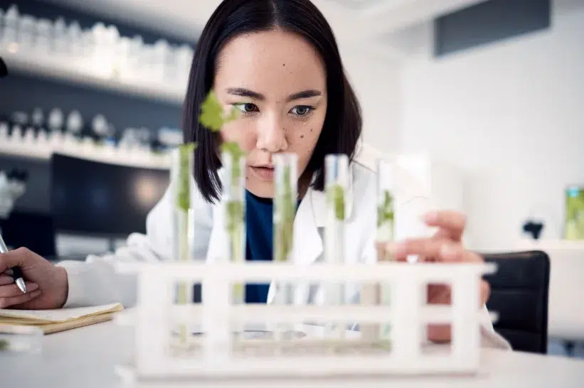 A chemist checking test tubes containing pharmaceutical-grade CBD