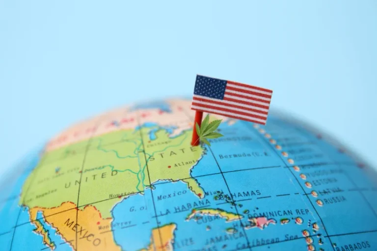 the American flag and a weed leaf stuck in a surface of the US map