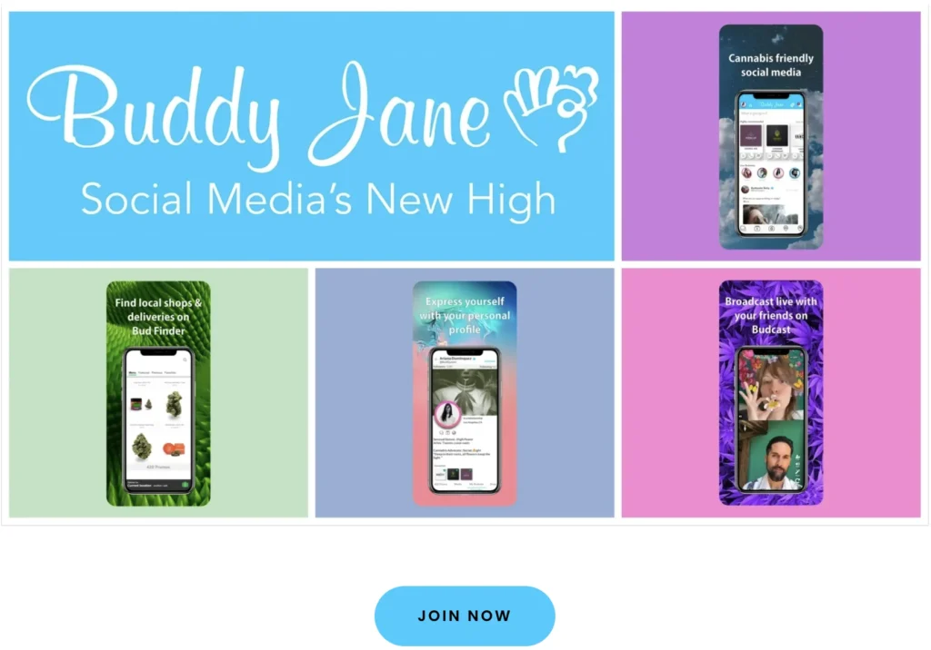 Buddy Jane poster of the different interface facets of the app. 