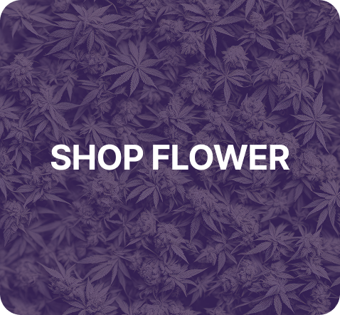WS FLOWER