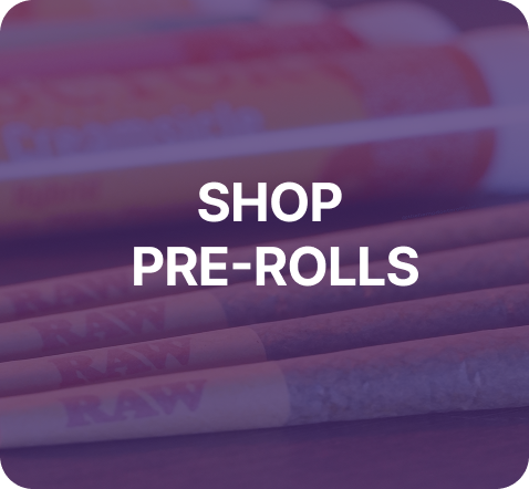 WS PREROLLS